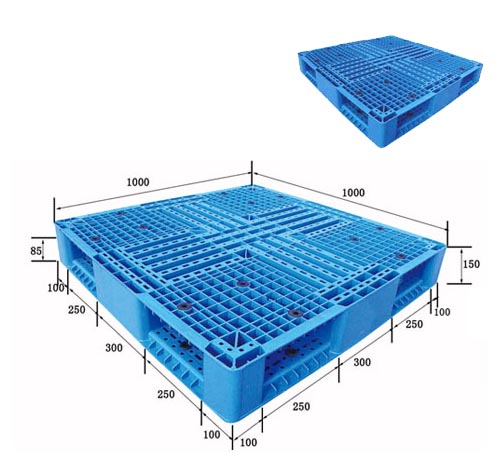 1010˫��������������